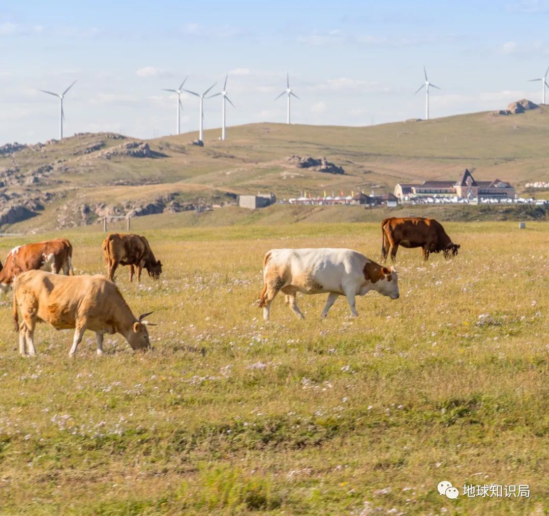救命,我在内蒙古被吹飞了(最新发布)