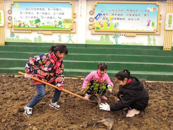 合肥一所小学校园劳动基地启动