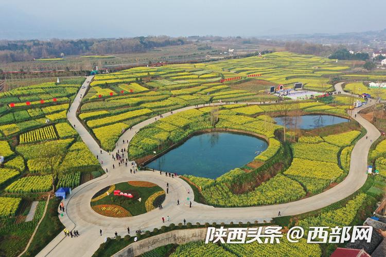 2021年中国最美油菜花海旅游文化节启动仪式在西乡举行.