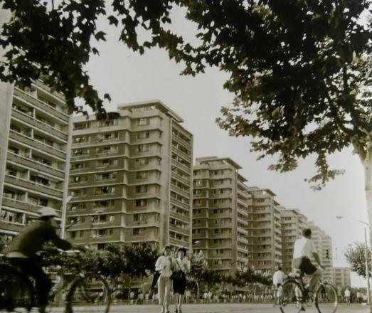 落成此后至1958年,日晖二村至七村相继建成"日晖新村"改称"日晖一村"