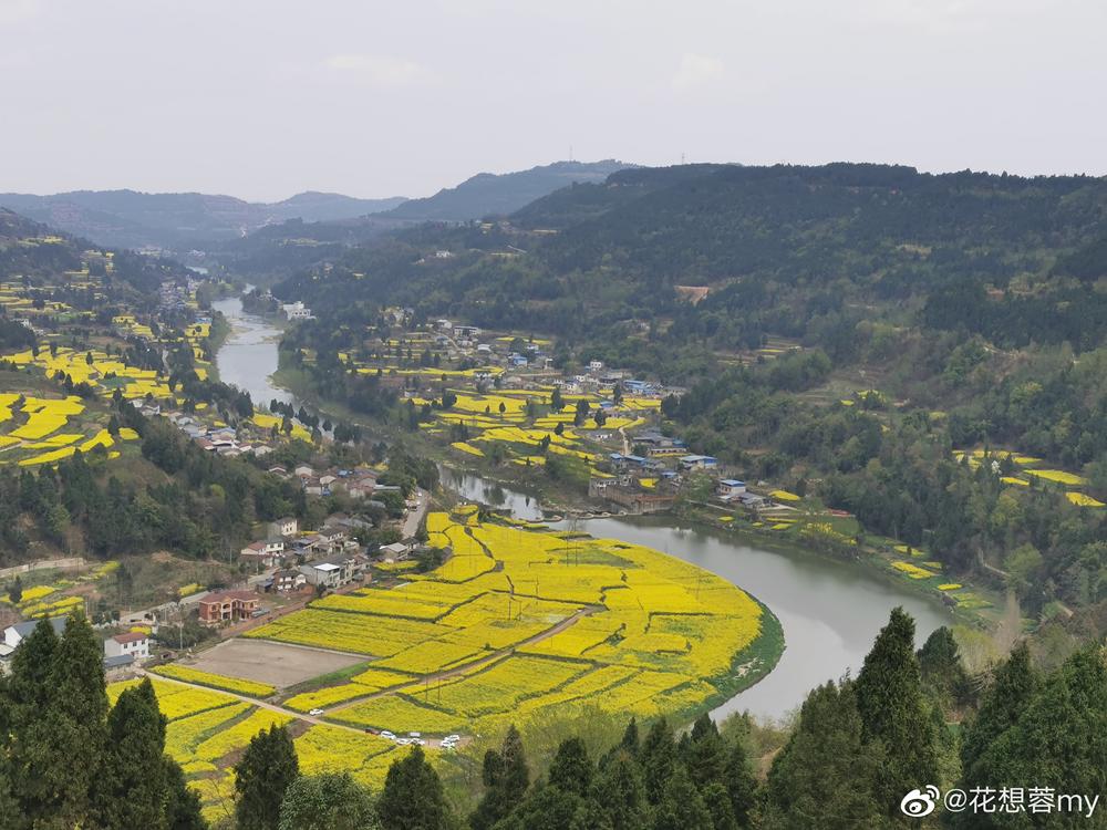 今春no1的网红彩色的油菜花田来了就在成都