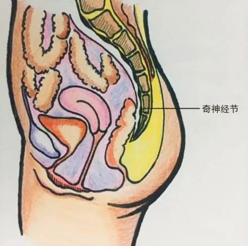 奇神经节催眠术交感神经切断术治疗糖尿病神经痛