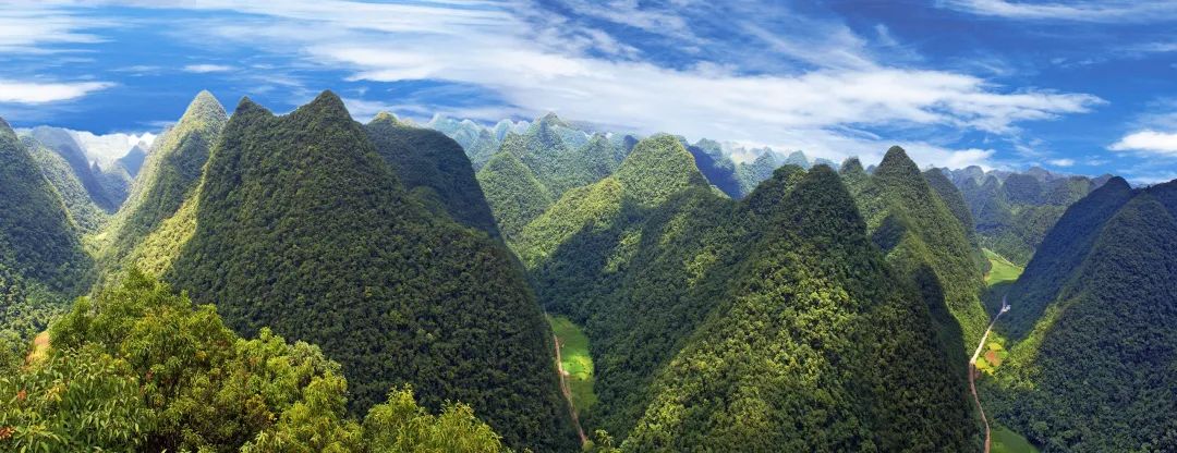 图说贵州 | 荔波茂兰国家级自然保护区