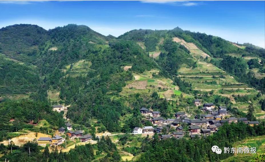 雷山县望丰乡三角田村,依托生态好茶 谋划乡村旅游