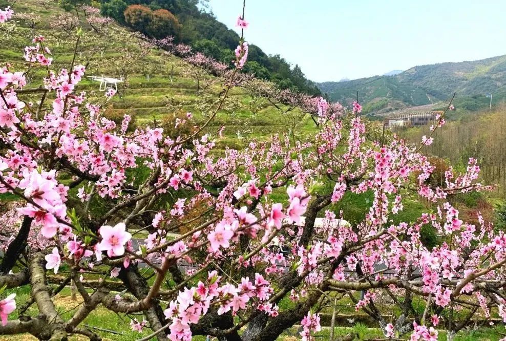 长兴城山沟景区