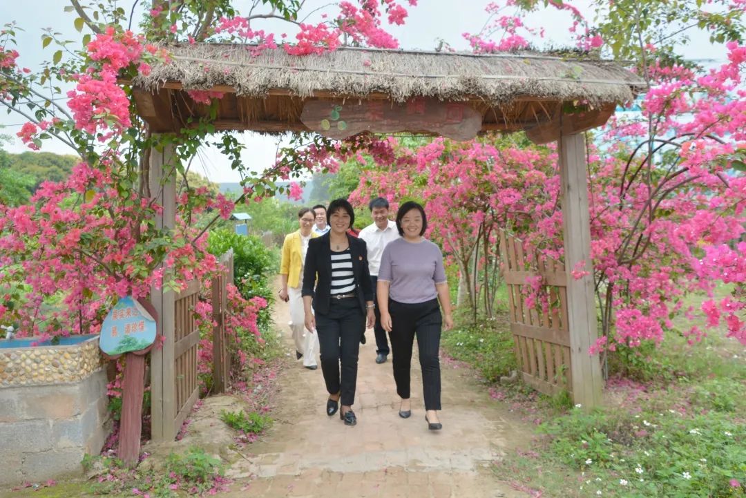 参观了广西茗桂茶业有机茶园基地,灵山县三隆镇蕃桃园农庄等巾帼基地