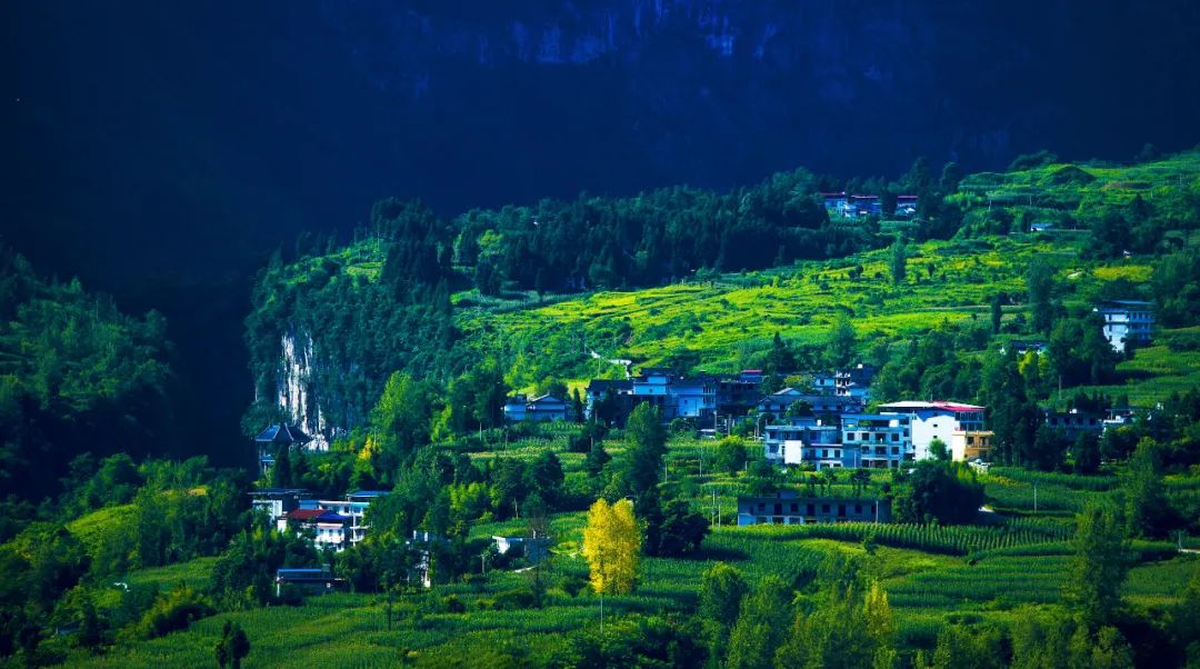 继《李焕英》之后，湖北又一取景地美出圈，这个季节去正好（最新发布）