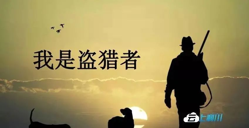 继《李焕英》之后，湖北又一取景地美出圈，这个季节去正好（最新发布）