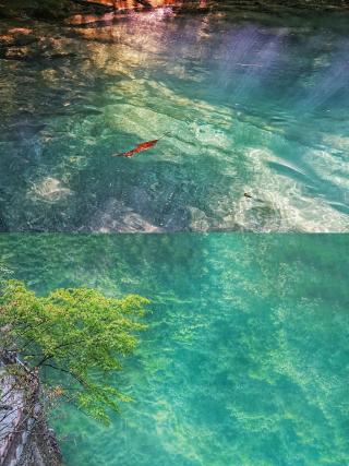 继《李焕英》之后，湖北又一取景地美出圈，这个季节去正好（最新发布）