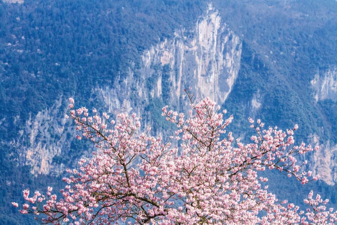 继《李焕英》之后，湖北又一取景地美出圈，这个季节去正好（最新发布）