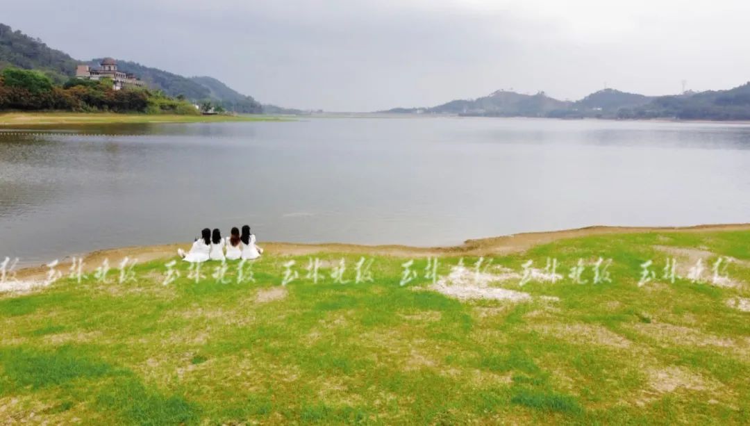 近日,玉林寒山水库内长满绿草,绿树抽新芽,到处一派春天的景象.