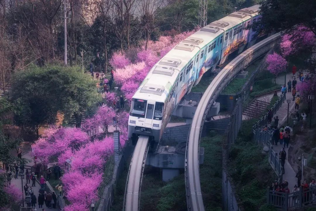 开往春天的地铁·重庆 米拍光合作用