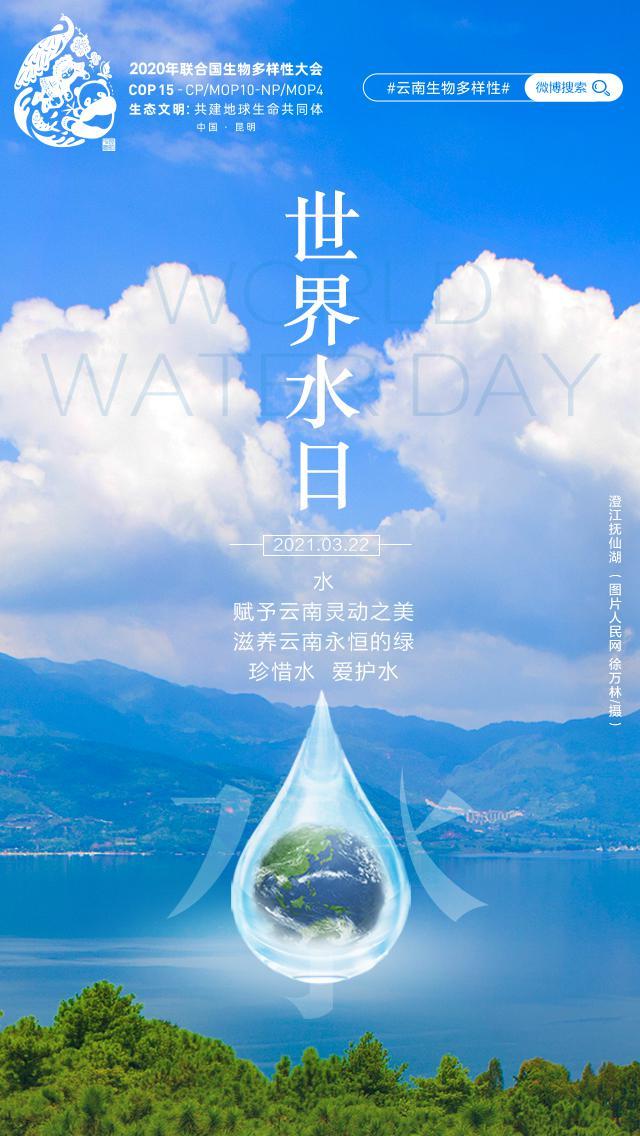 世界水日,珍惜爱护水资源