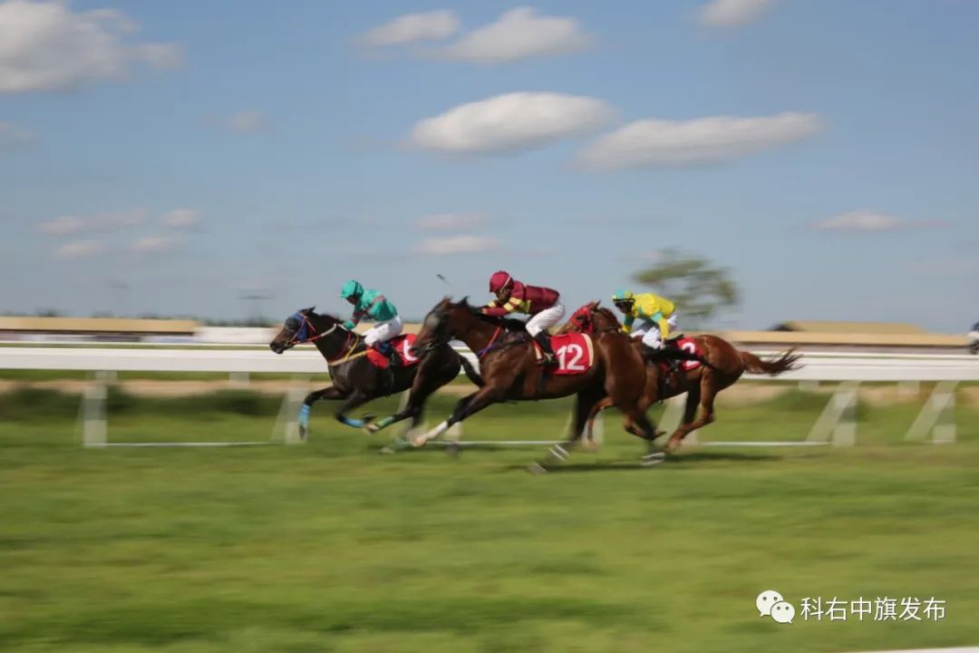 科右中旗图什业图赛马场位于翰嘎利湖北岸,在这里可以体验男儿三艺