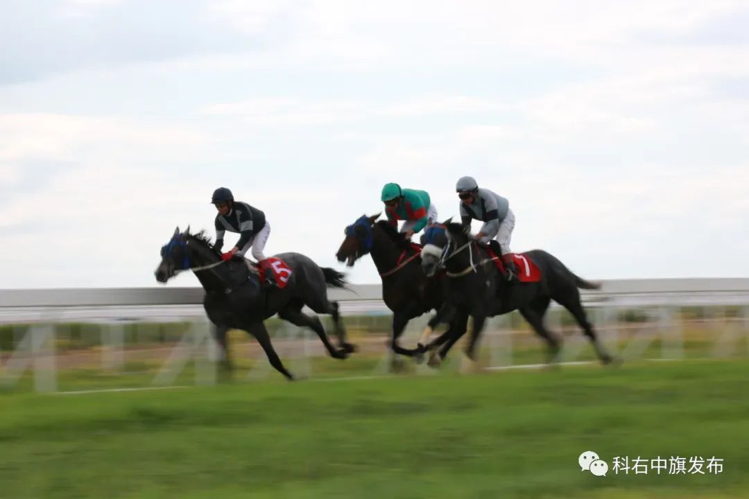 科右中旗图什业图赛马场位于翰嘎利湖北岸,在这里可以体验男儿三艺