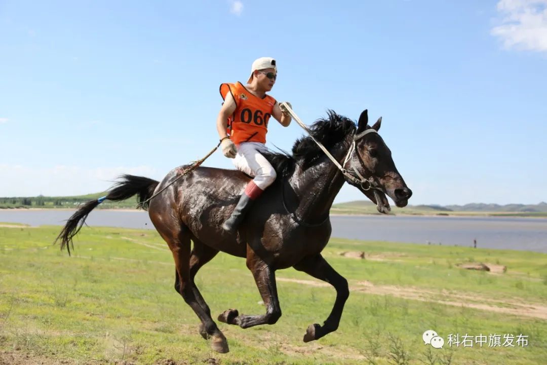 赛马场位于翰嘎利湖北岸,在这里可以体验男儿三艺,高端骑乘,蒙古族