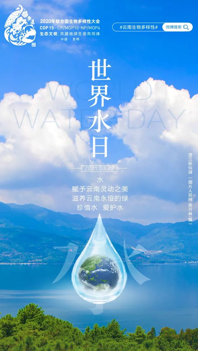 世界水日丨云南喊你来看