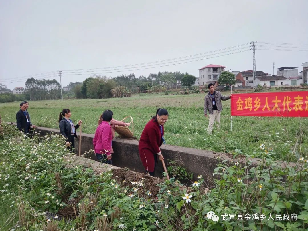 金鸡乡开展"学党史,办好事,开新局"主题活动助力乡村振兴建设