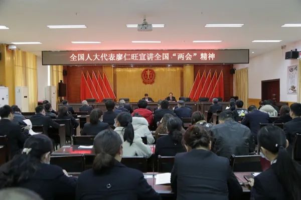 教育整顿蓝山法院邀请全国人大代表廖仁旺宣讲全国两会精神