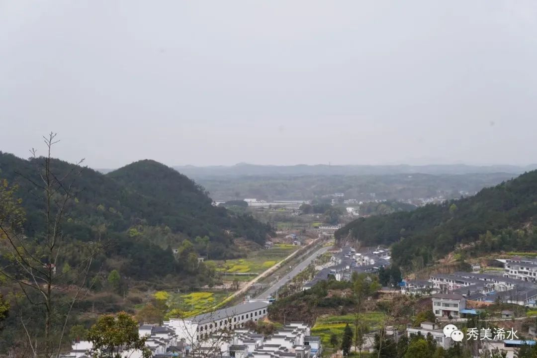 浠水黄溪冲:花红人气旺,漫山杜鹃竞芬芳