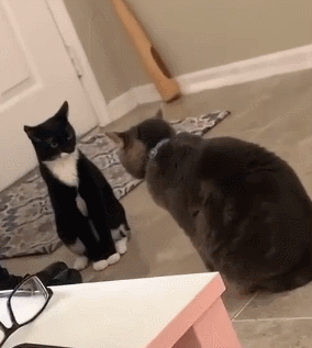 每日一笑,偷藏私房钱被老婆发现了