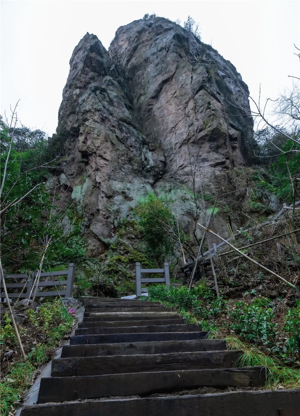 周末踏青百药山绿道等你来