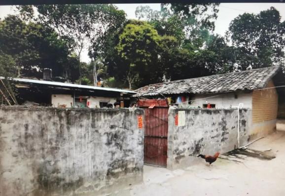 广东：全省免费！（最新发布）