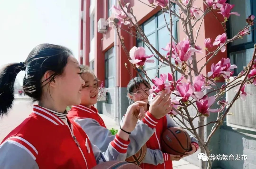 诸城市南湖区孔戈庄学校青州市海岱小学青州云门书院坊子区实验幼儿园