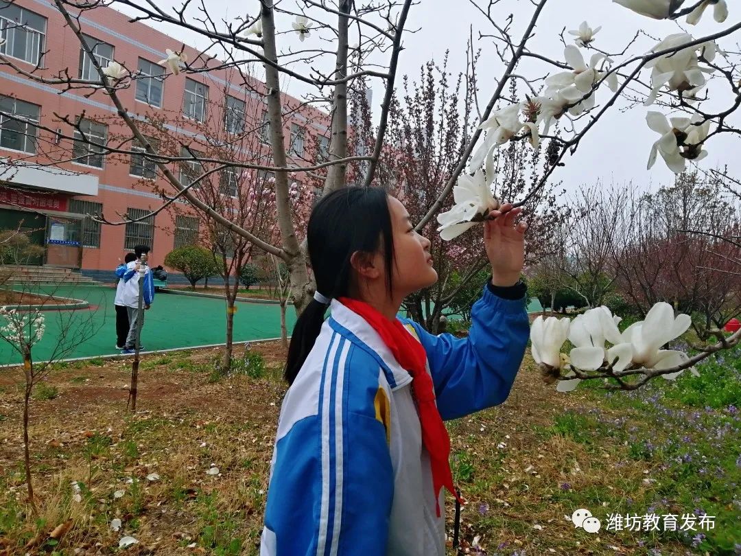 南湖区孔戈庄学校青州市海岱小学青州云门书院坊子区实验幼儿园潍城区