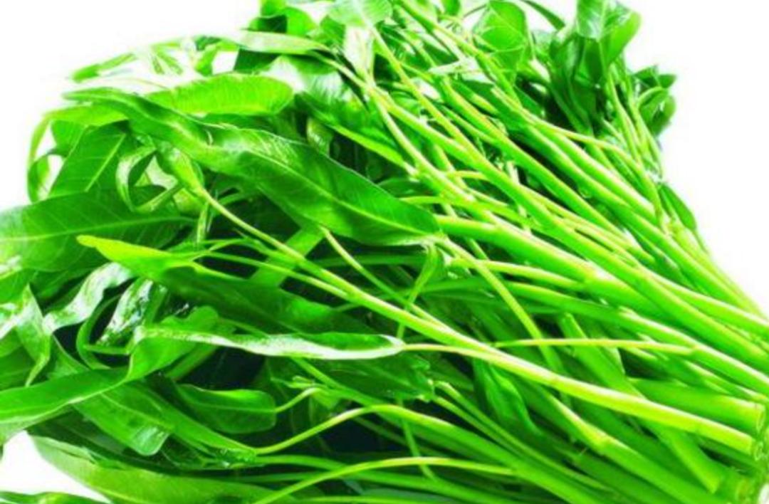空心菜重金属含量一定超标吗?