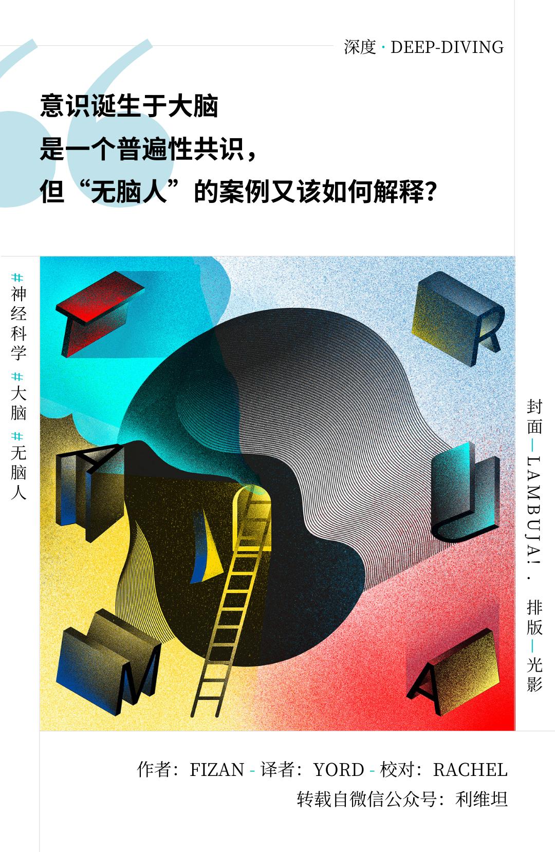 无脑人:我们真的需要大脑吗?