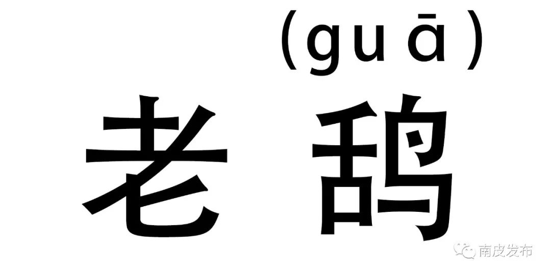 解释 乌鸦 例句:哪飞来的老鸹啊,从这叫一天了