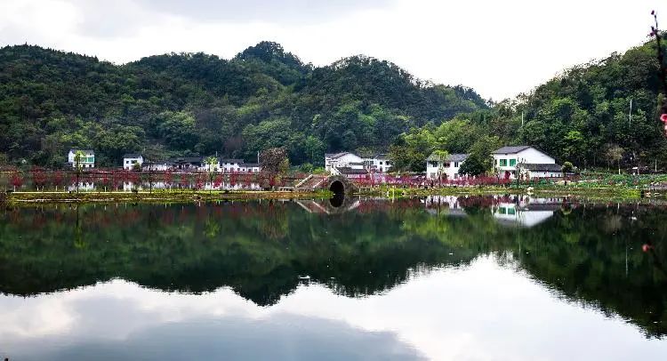 渝北区洛碛镇大天池村,远处一座座青山倒映在水中,一排排农家小院与