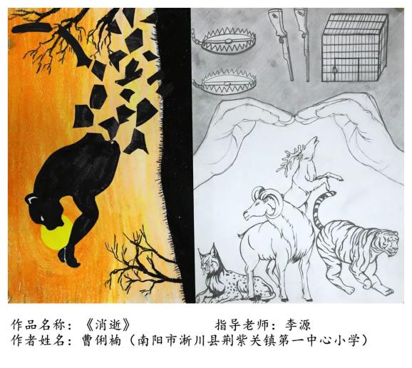 生物多样性 | "我眼中的生物多样性"主题绘画精品展(小学一等奖)