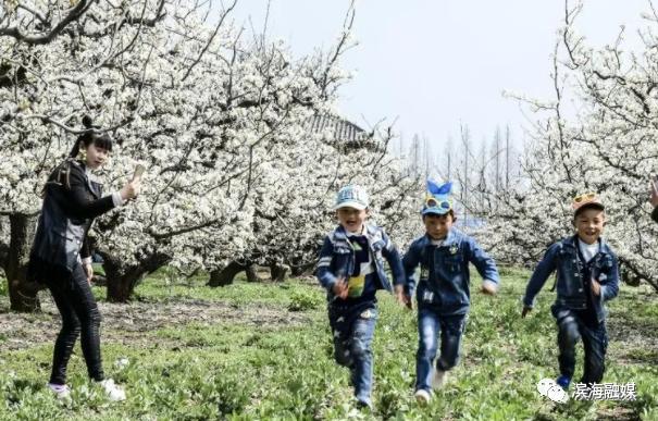 官宣!2021中国·滨海梨花节来了,时间定在