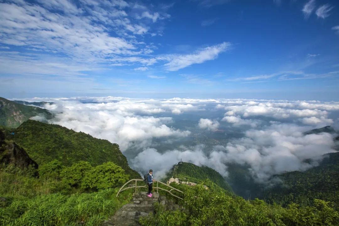 动动手指,一起来点绿武功山的春天