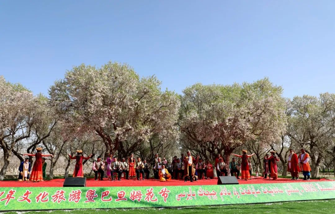花开莎车 | 莎车县举行2021年文化旅游暨巴旦姆花节