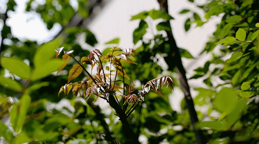 三月再见,四月你好!