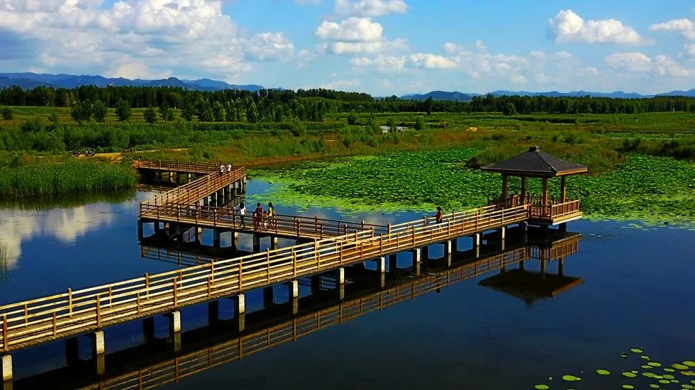 【阜新相册】鸟瞰伊吗图湿地