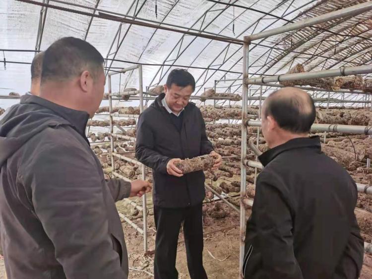 头条旗委书记纪全富深入土牧尔台镇调研集体经济发展情况