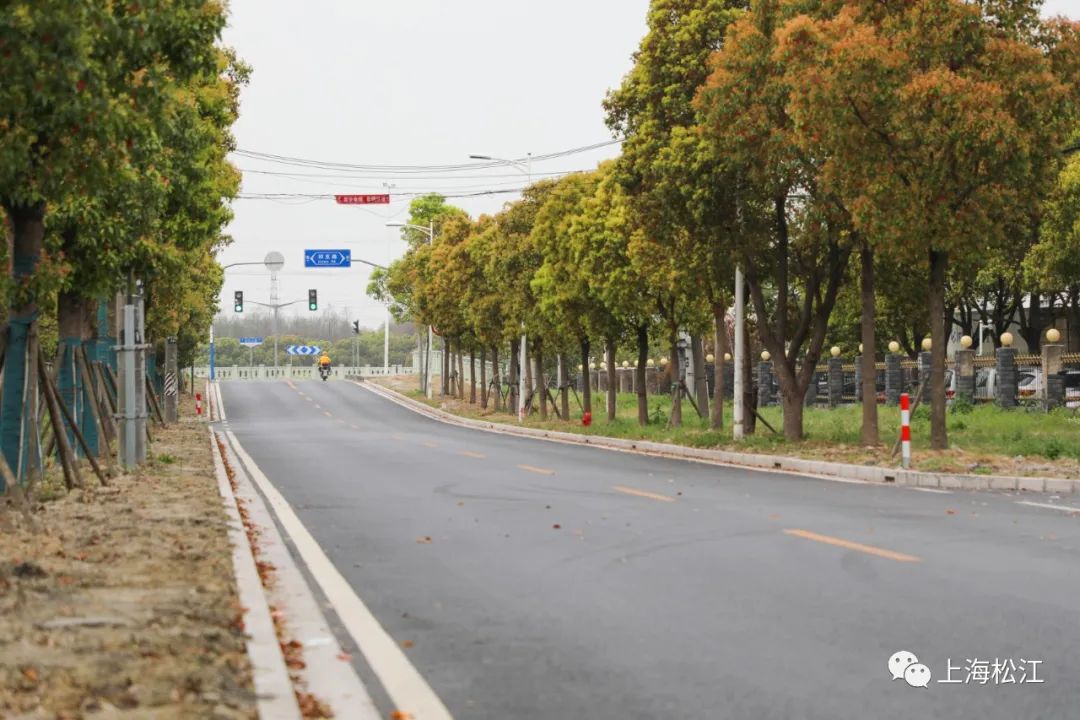 洞泾镇加大力度改善道路交通条件,完成了洞舟路,洞业路,洞凯路,张泾路