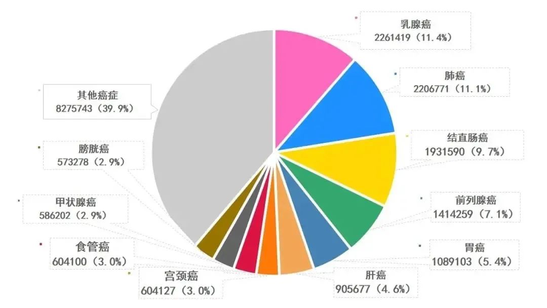 其次分别是肺癌,结直肠癌,前列腺癌,胃癌,肝癌,宫颈癌,食管癌,甲状腺