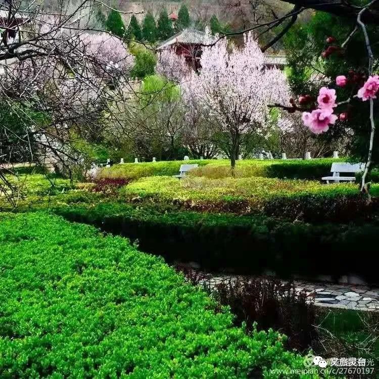 清明踏青,赏灵台春韵