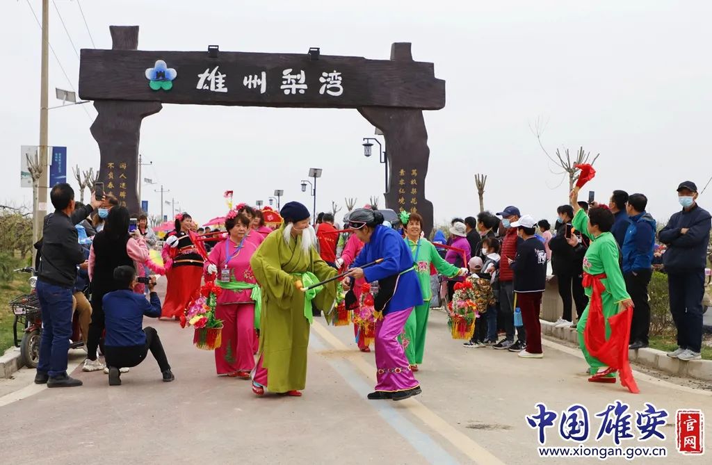 快来打卡!雄安新区雄州梨湾梨花游园会开幕