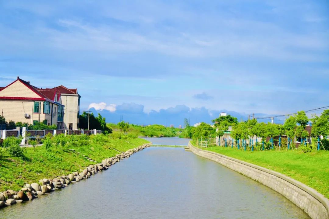 云赏奉贤乡村河流美景