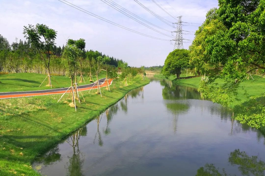 云赏奉贤乡村河流美景