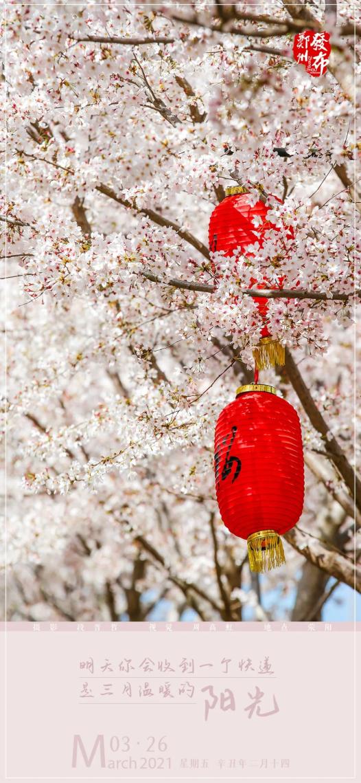 【教育】全市中招理化生实验考试时间确定!(最新发布)