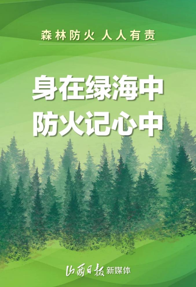 海报丨护林防火,请牢记这些箴言