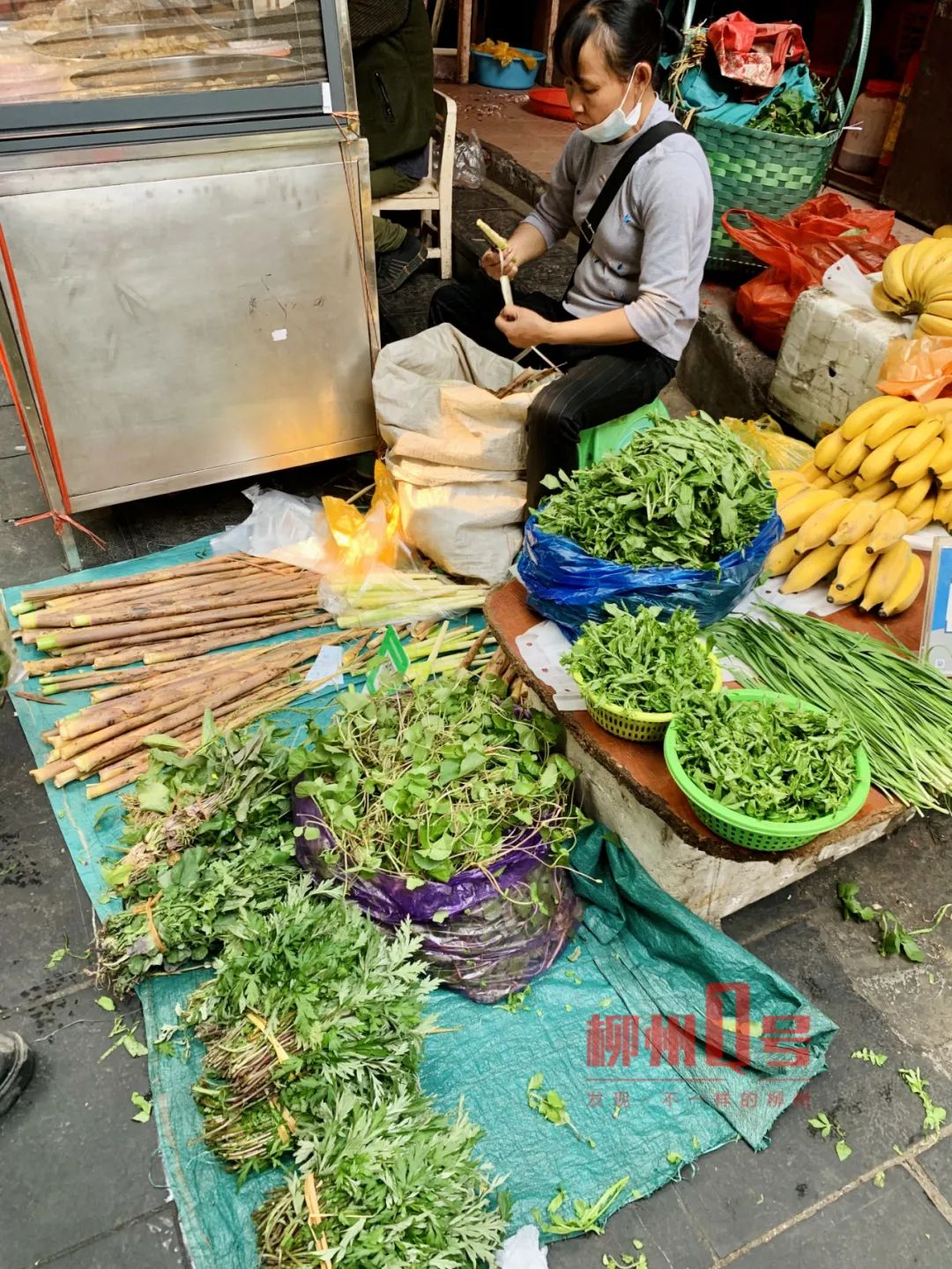 扣子菜,甜笋,艾叶…柳州这些抢手货在野外你认得出吗?"吃春"要谨慎