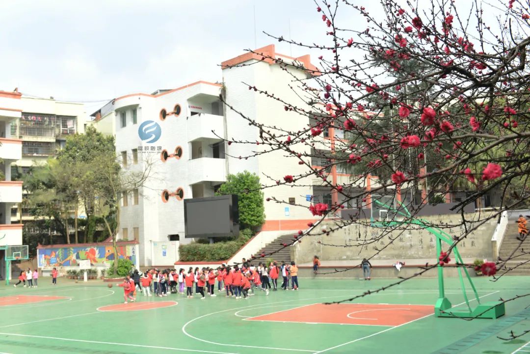 县五府山小学校富顺县城西小学校富顺县城南小学校富顺县华英实验学